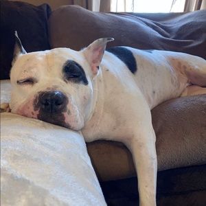 Meet your Posher, Chance